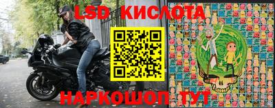 шишки Пугачёв