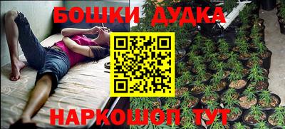 шишки Пугачёв