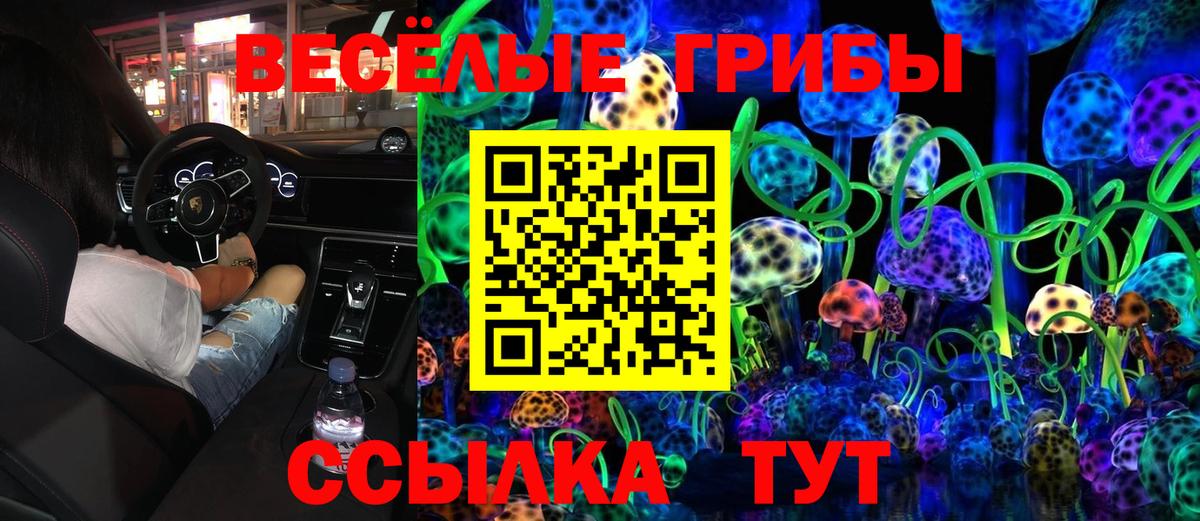 Галлюциногенные грибы Psilocybe  Вход с VPN  Ростов Великий 